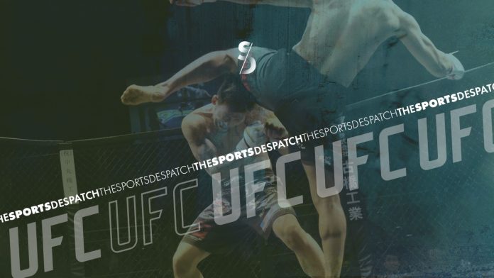UFC Graphic
